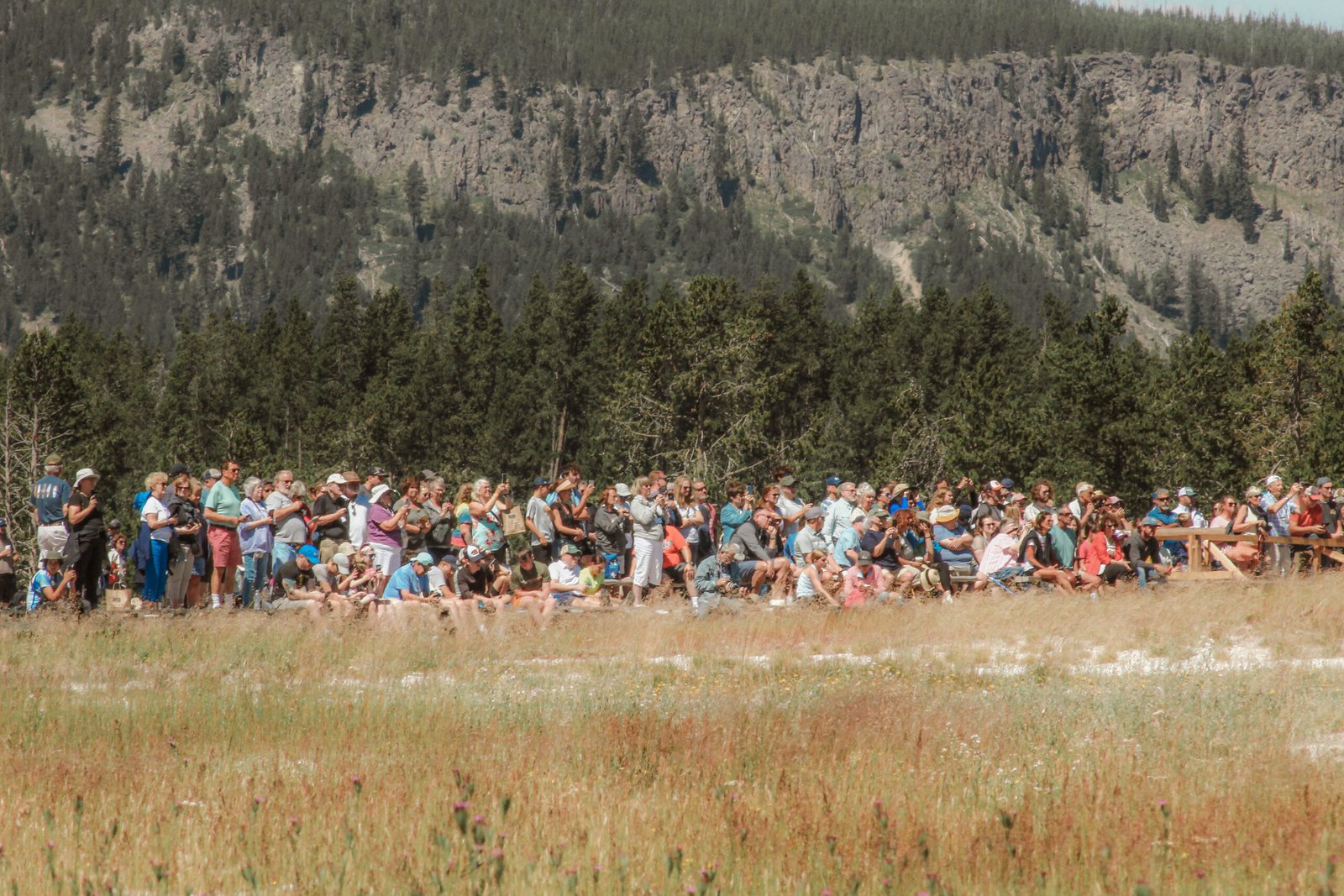 The afternoon crowd gathered around Old Faithful